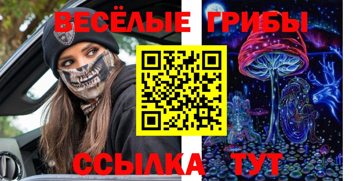 Чехов  Псилоцибиновые грибы GOLDEN TEACHER  даркнет сайт  Вход с VPN 